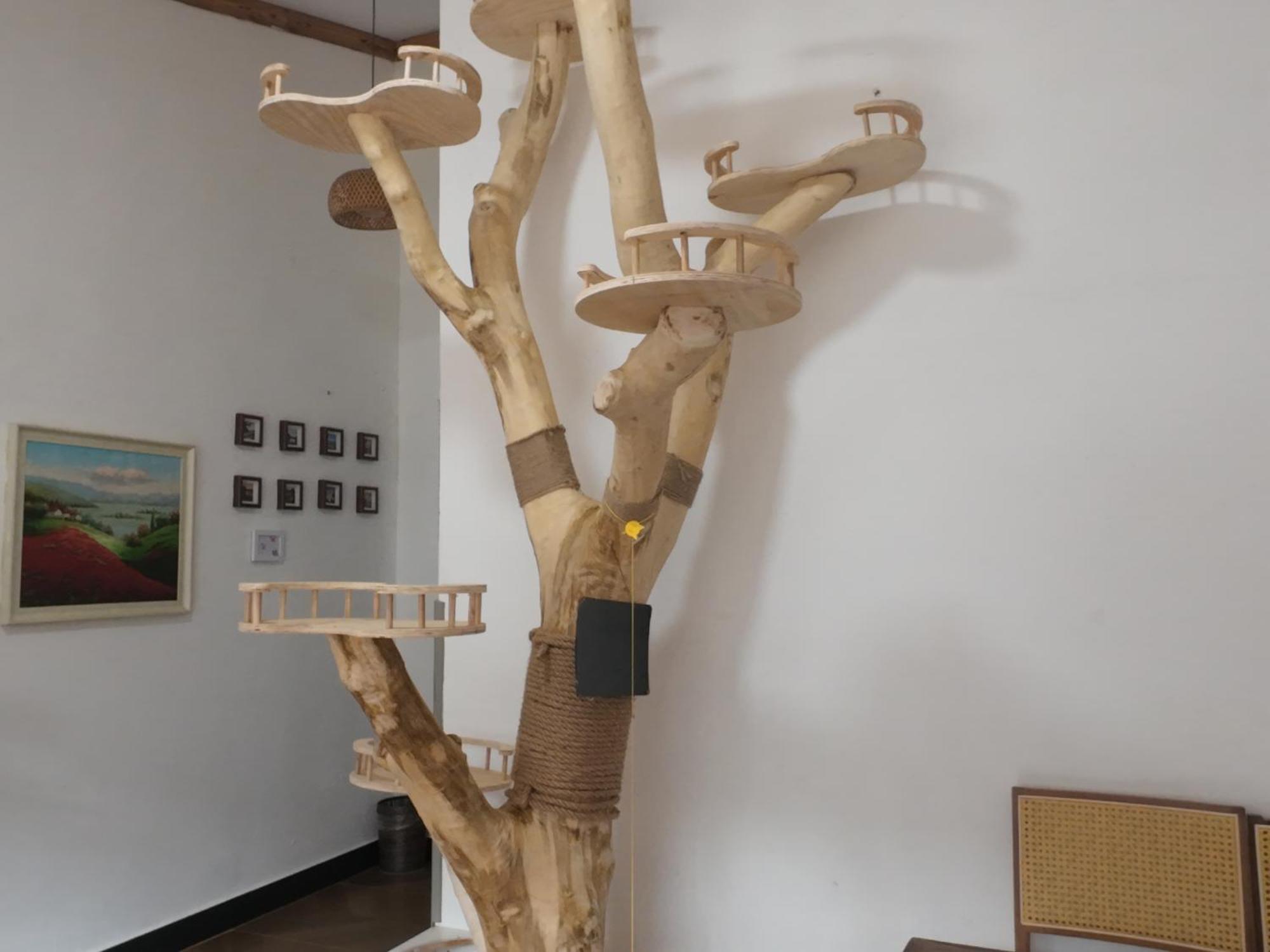 Autumn Inn Dương Sóc Ngoại thất bức ảnh